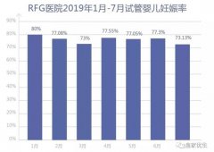 试管婴儿怀孕数据:前7个月,RFG皇家医